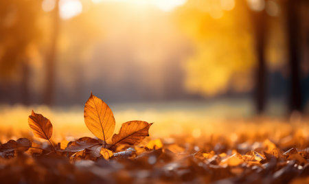 Beautiful autumn leaves at the grass ground, bokeh background with empty space a center. Warm colors. Seasonal banner, made with Generative AIの素材