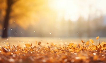Beautiful autumn leaves at the grass ground, bokeh background with empty space a center. Warm colors. Seasonal banner, made with Generative AIの素材