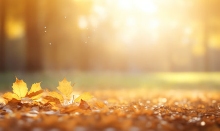 Beautiful autumn leaves at the grass ground, bokeh background with empty space a center. Warm colors. Seasonal banner, made with Generative AIの素材