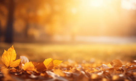 Beautiful autumn leaves at the grass ground, bokeh background with empty space a center. Warm colors. Seasonal banner, made with Generative AIの素材