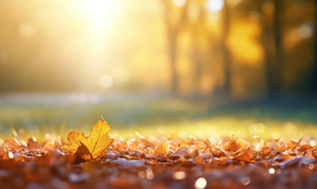 Beautiful autumn leaves at the grass ground, bokeh background with empty space a center. Warm colors. Seasonal banner, made with Generative AIの素材