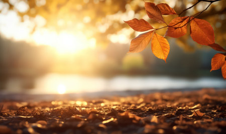Beautiful autumn leaves at the grass ground, bokeh background with empty space a center. Warm colors. Seasonal banner, made with Generative AIの素材