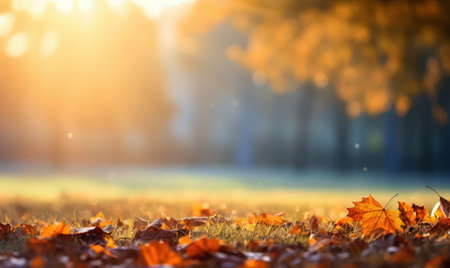 Beautiful autumn leaves at the grass ground, bokeh background with empty space a center. Warm colors. Seasonal banner, made with Generative AIの素材