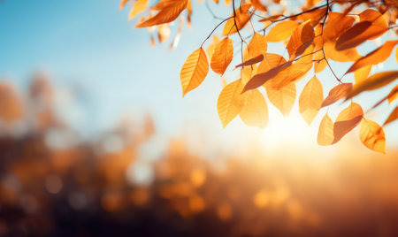 Beautiful autumn leaves, bokeh background with empty space a center. Warm colors. Seasonal banner, made with Generative AIの素材
