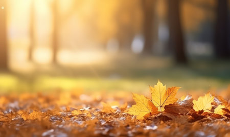 Beautiful autumn leaves at the grass ground, bokeh background with empty space a center. Warm colors. Seasonal banner, made with Generative AIの素材