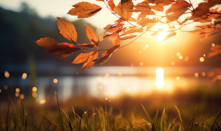 Beautiful autumn leaves at the grass ground, bokeh background with empty space a center. Warm colors. Seasonal banner, made with Generative AIの素材