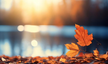 Beautiful autumn leaves at the grass ground, bokeh background with empty space a center. Warm colors. Seasonal banner, made with Generative AIの素材