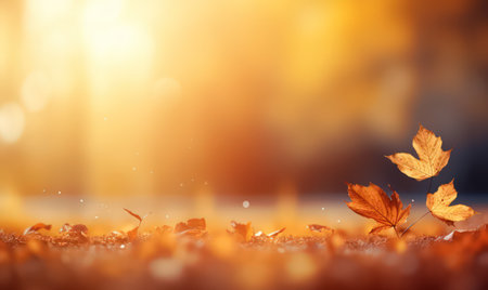 Beautiful autumn leaves at the grass ground, bokeh background with empty space a center. Warm colors. Seasonal banner, made with Generative AIの素材