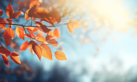 Beautiful autumn leaves, bokeh background with empty space a center. Warm colors. Seasonal banner, made with Generative AIの素材