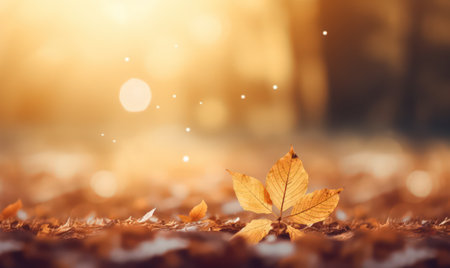 Beautiful autumn leaves at the grass ground, bokeh background with empty space a center. Warm colors. Seasonal banner, made with Generative AIの素材