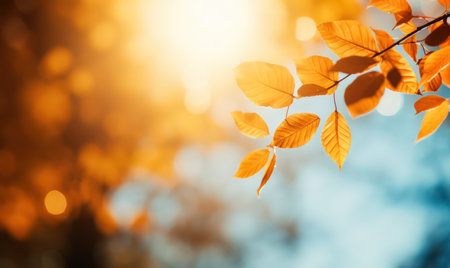 Beautiful autumn leaves, bokeh background with empty space a center. Warm colors. Seasonal banner, made with Generative AIの素材
