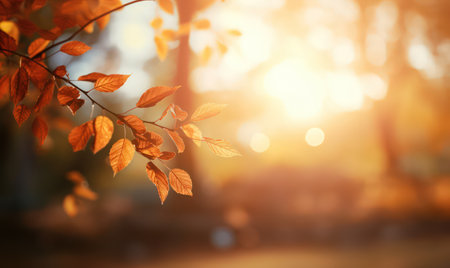 Beautiful autumn leaves, bokeh background with empty space a center. Warm colors. Seasonal banner, made with Generative AIの素材