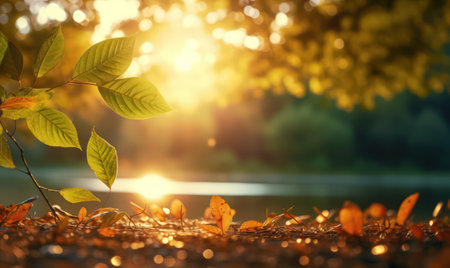 Beautiful autumn leaves at the grass ground, bokeh background with empty space a center. Warm colors. Seasonal banner, made with Generative AIの素材