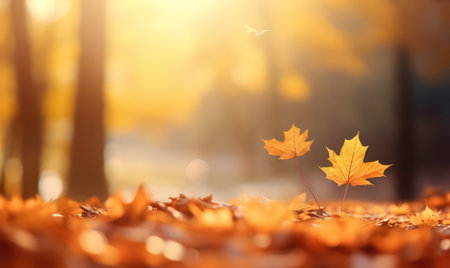 Beautiful autumn leaves at the grass ground, bokeh background with empty space a center. Warm colors. Seasonal banner, made with Generative AIの素材