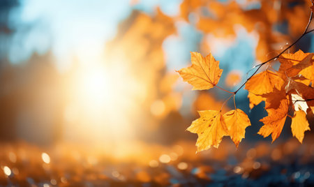 Beautiful autumn leaves, bokeh background with empty space a center. Warm colors. Seasonal banner, made with Generative AIの素材