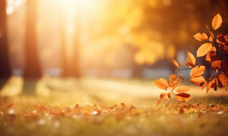 Beautiful autumn leaves at the grass ground, bokeh background with empty space a center. Warm colors. Seasonal banner, made with Generative AIの素材