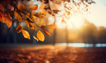Beautiful autumn leaves, bokeh background with empty space a center. Warm colors. Seasonal banner, made with Generative AIの素材