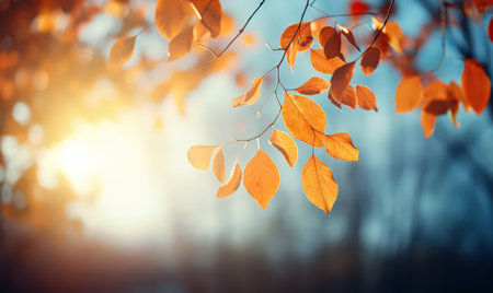Beautiful autumn leaves, bokeh background with empty space a center. Warm colors. Seasonal banner, made with Generative AIの素材