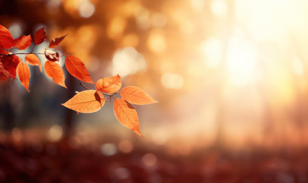 Beautiful autumn leaves, bokeh background with empty space a center. Warm colors. Seasonal banner, made with Generative AIの素材