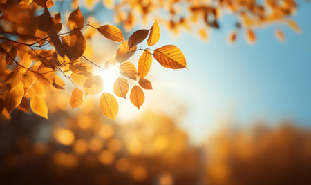 Beautiful autumn leaves, bokeh background with empty space a center. Warm colors. Seasonal banner, made with Generative AIの素材