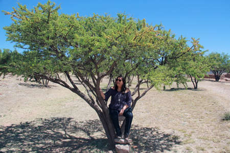 Latin adult woman with sunglasses sitting on a tree looks her pensive and relaxed face among the branches calm, happy and in harmonyの写真素材
