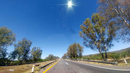Empty straight road surrounded by trees with the sun in front seen from the car on a road trip, time to rest and relaxの写真素材