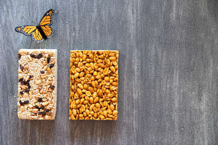 alegrias y palanquetas, mexican amaranth and seed candies with monarch butterfly on gray vintage...