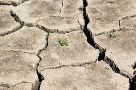Droughts are caused by climate change, the lack of rain, which produces water scarcity. World Water...