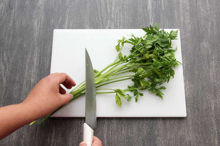 Green vegetables like parsley, celery, nopales, cucumbers, chard and spinach on a wooden table and chopping board with knife to prepare healthy food in the kitchenの写真素材