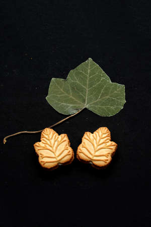 Delicious cookies filled with vanilla cream made with honey or maple syrup from Canadian trees, the traditional sweet of Canada with dry leavesの写真素材