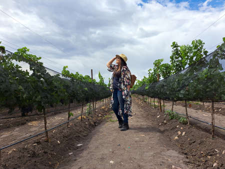 Latin adult woman with hat and sunglasses walks among vine plants happy and full enjoys the sunlight among the vineyardsの写真素材