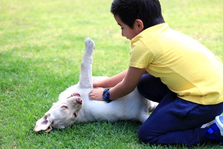 Hispanic little boy plays with his dog in the park in danger of being bitten because the dog is not trainedの写真素材