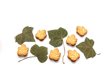 Delicious cookies filled with vanilla cream made with honey or maple syrup from Canadian trees, the traditional sweet of Canada with dry leaves on white backgroundの写真素材