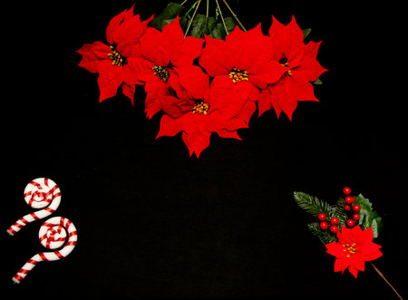 Red Mexican poinsettia flowers to frame Christmas message on black background with golden stars, canes, handmade dollの写真素材