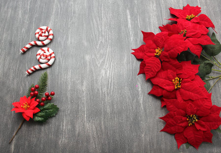 Christmas sticks as a frame for a message of happiness and good wishes together with the Mexican flower Red Poinsettiaの写真素材