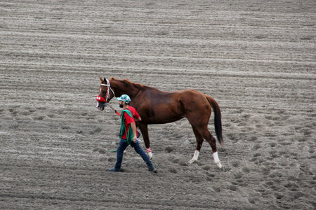 Mexico City, Mexico - July 22 2023: Hipodromo de las Americas is a racetrack where Thoroughbred and Quarter Horses compete and you can bet on the winnerのeditorial素材