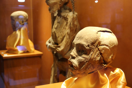 Guanajuato, Mexico - Mar 21 2021: The Mummies of Guanajuato one of the greatest tourist attractions in Mexico in a city known for its silver mining history and colonialのeditorial素材