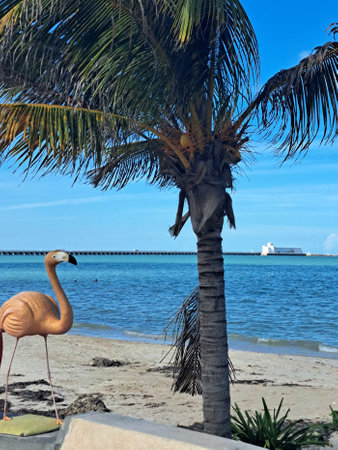 Progreso, Yucatan, Mexico - Nov 23 2022: Port city of the peninsula, a stop for cruise ships docking at its iconic long pier. The Malecon is a promenade on the ocean coastのeditorial素材