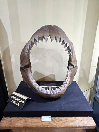 Mexico City, Mexico - Jan 31 2024: UNAM Geology Museum in Santa Maria la Ribera,collections of Paleontology, Minerals, Rocks and Meteoritesのeditorial素材