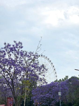 Mexico City, Mexico - Mar 20 2024: The Aztlan 360 Wheel of Fortune, an urban icon, 85 meters high,...