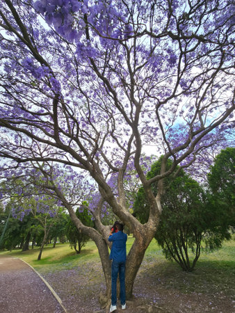 Latino divorced single dad plays with his 5 year old brunette daughter in the park climbing a tree spend quality time on weekend and vacationの写真素材