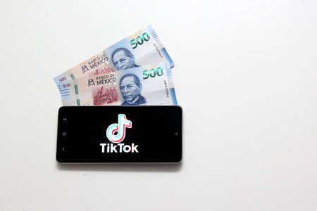 Mexico City, Mexico - Nov 9 2022: TikTok for Business in Mexico offers brands, agencies and...