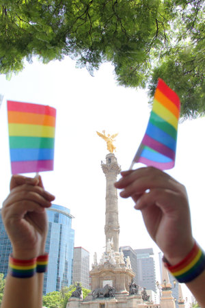 LGBTQIA+ flag with the colors of the rainbow that symbolizes gay pride in the march on the streets...