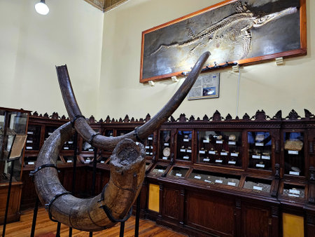 Mexico City, Mexico - Jan 31 2024: UNAM Geology Museum, located in the Santa Maria la Ribera neighborhood of CDMX with geological collectionsのeditorial素材
