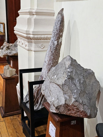 Mexico City, Mexico - Jan 31 2024: UNAM Geology Museum, located in the Santa Maria la Ribera neighborhood of CDMX with geological collectionsのeditorial素材