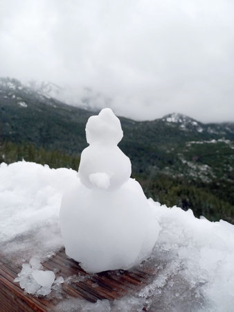 Duck shaped snowman overlooking the lake from the top of a snowy mountain during the cold wave, low...