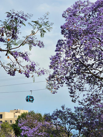 Mexico City, Mexico - March 26, 2025: Cablebus public transportation system by cable car in Mexico...