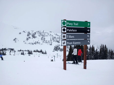Whistler, British Columbia, Canada - Mar 16 2022: Whistler is a coastal mountain ski resort in...