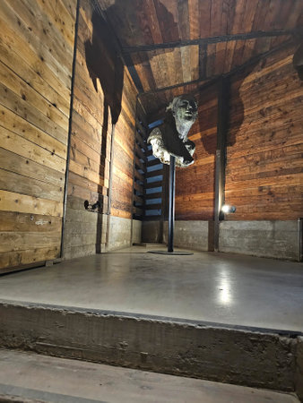 Ensenada, Baja California, Mexico - Mar 17, 2025: Bruma and Fauna in the Valle de Guadalupe, a winery where winemaking tradition merges with innovation, a vineyard, hotel and restaのeditorial素材