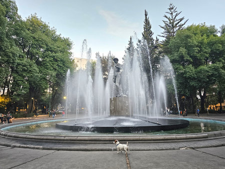 Mexico City, Mexico - Jan 29 2025: The Fountain of David, a replica of Michelangelo's sculpture in CDMX, is located in Plaza Rio de Janeiro, in the Roma Norte neighborhoodのeditorial素材